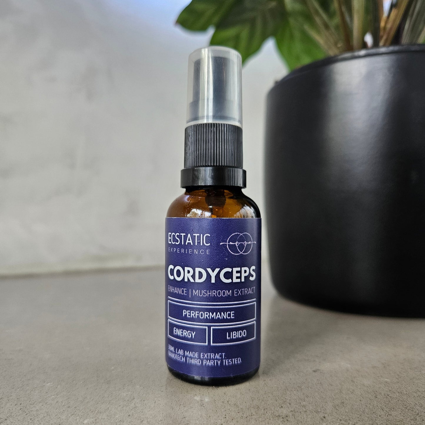 Cordyceps Extract - Enhance