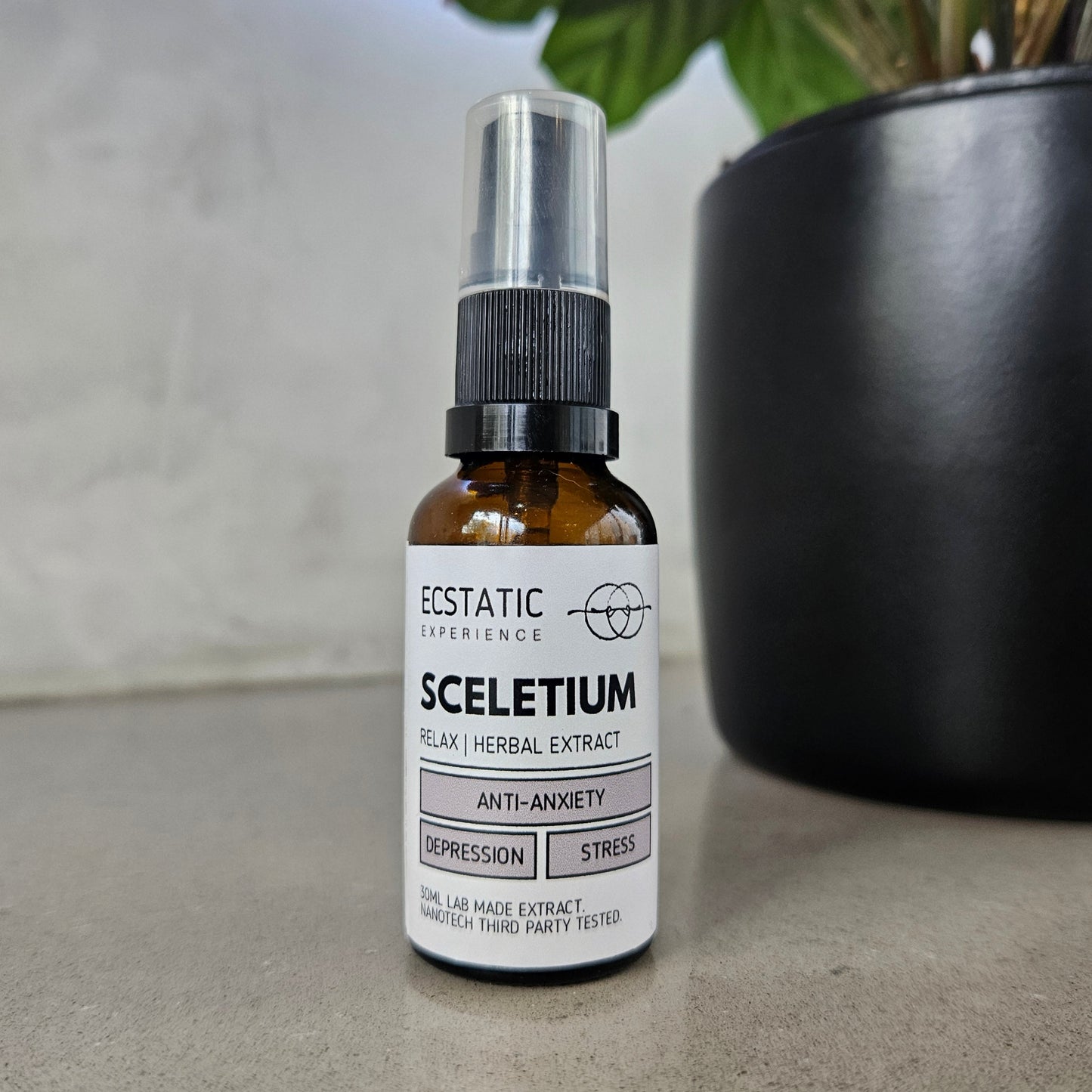 Sceletium Extract - Relax