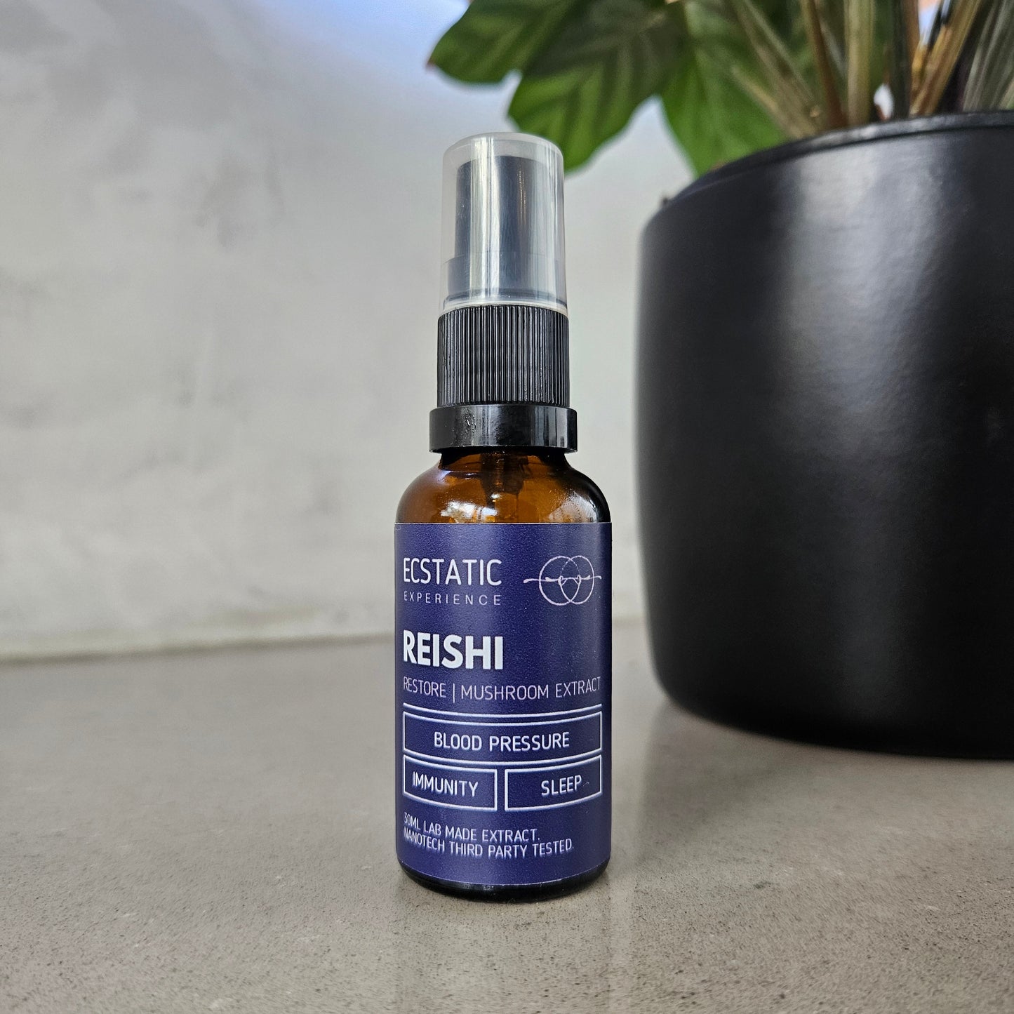 Reishi Extract - Restore