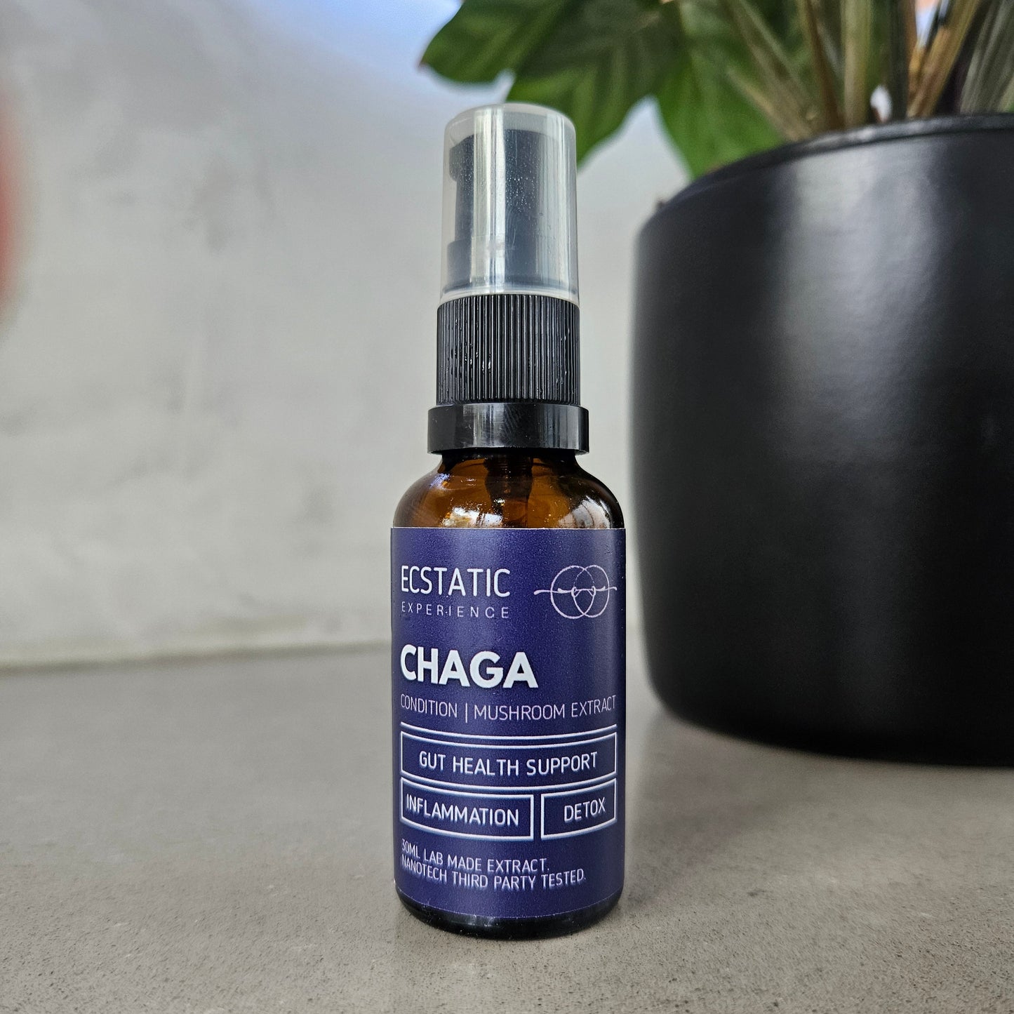 Chaga Extract - Condition