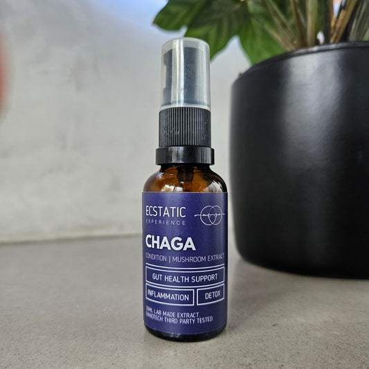 Chaga Extract - Condition