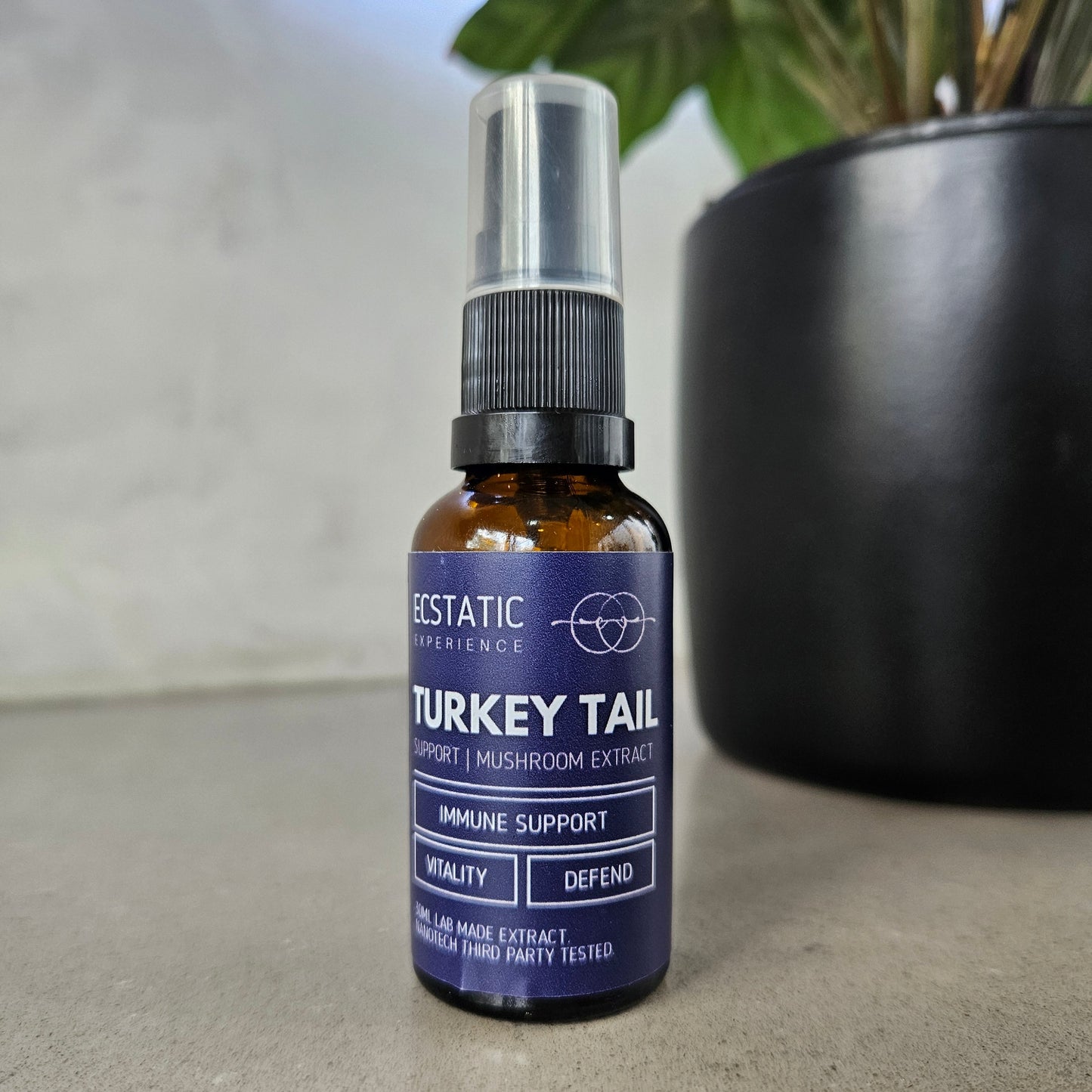 Turkey Tail Extract - Support