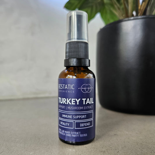 Turkey Tail Extract - Support