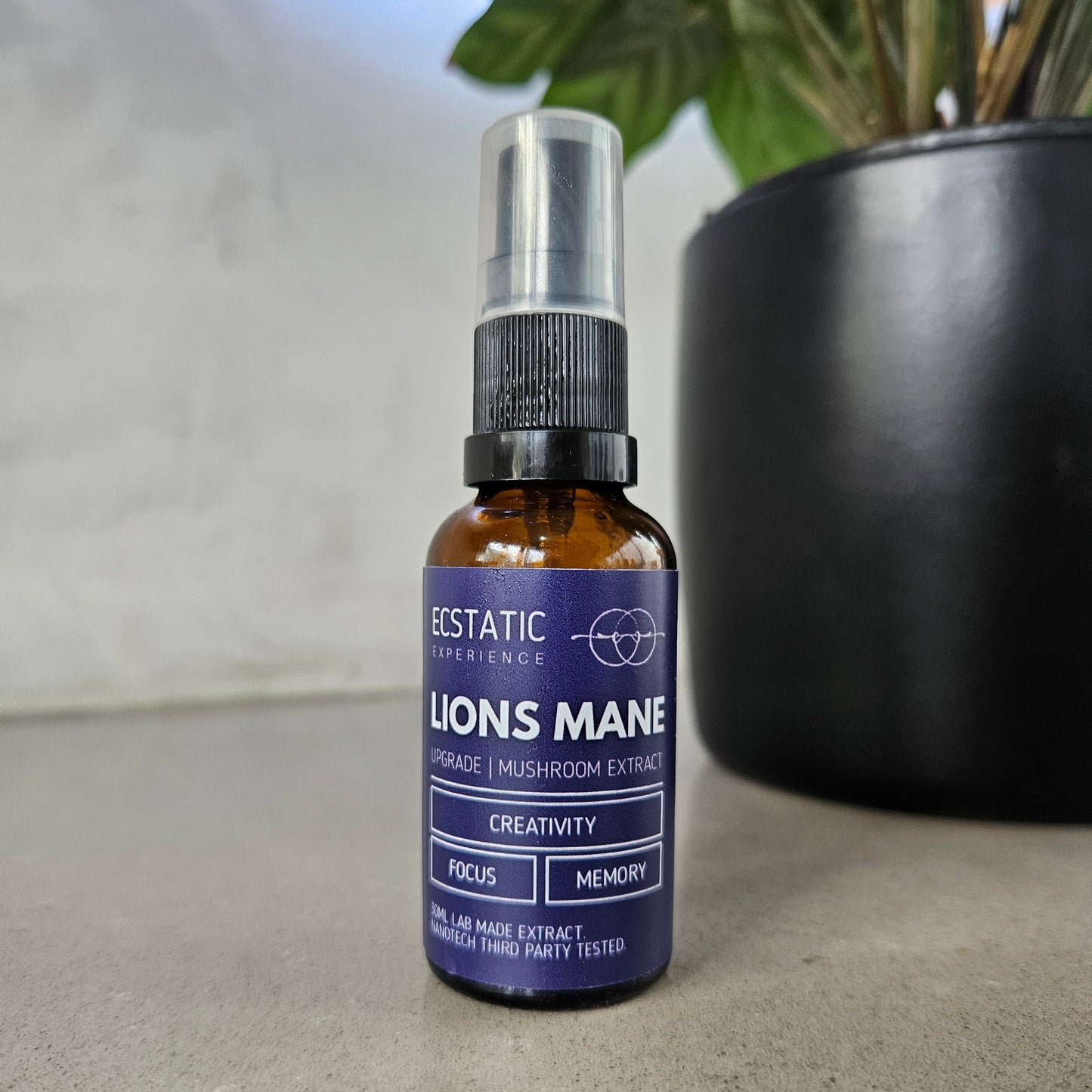 Lions Mane Extract - Upgrade